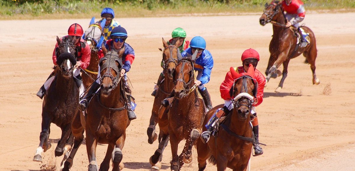 Hippisme. Quatre chevaux ornais dans la plus prestigieuse course de trot monté au monde