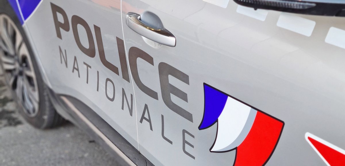 Seine-Maritime. Quatre personnes placées en garde à vue pour avoir tenté de voler un sac à main