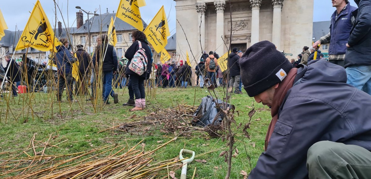 Rouen. Toujours mobilisés, les agriculteurs de la Confédération paysanne plantent des haies devant la préfecture