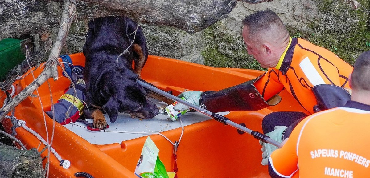 Saint-Lô. Un chien coincé au-dessus de la Vire sauvé par les pompiers et les policiers