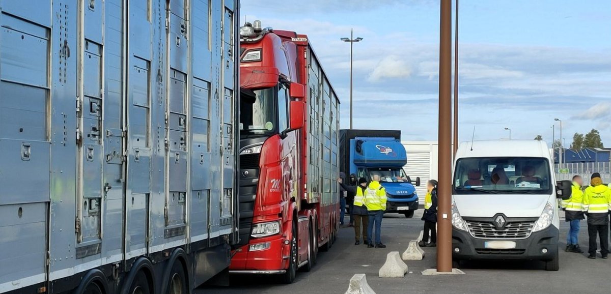 Cherbourg. Près de 100 infractions et cinq délits relevés sur 11 camions en partance pour l'Irlande
