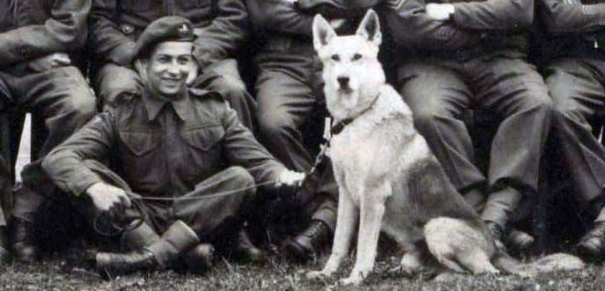 Normandie. Un écusson spécial "80e D-Day" en hommage à un soldat et son chien parachutés