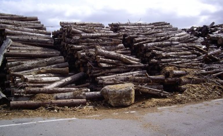 Le programme du mois du bois dans l'Orne