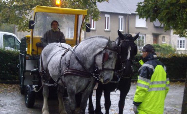 Des chevaux pour remplacer les camions à Alençon ?