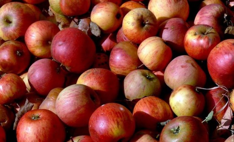 70e Foire de la pomme de Vimoutiers