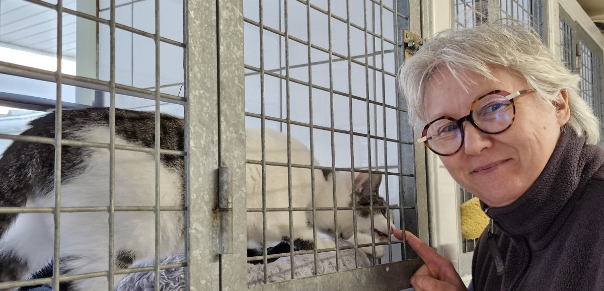 Rouen. La Société normande de protection des animaux pourrait fermer d ...