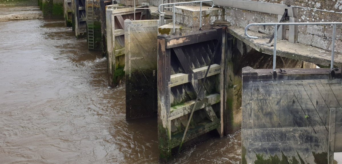 Carentan. Deux personnes bloquées par des écluses : douze pompiers interviennent