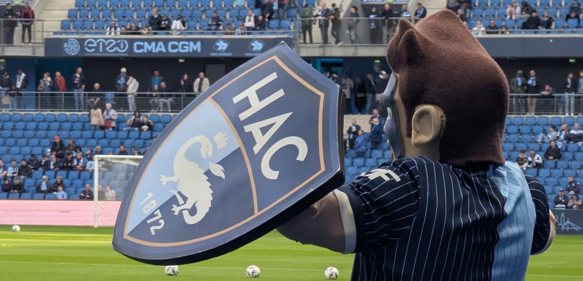 Football. Vincent Sasso rejoint le Havre Athletic Club