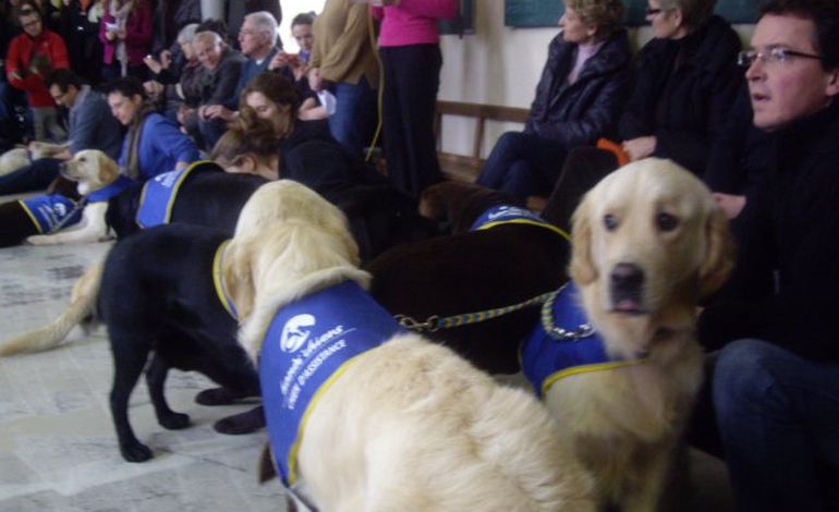 Alençon : Handi'Chiens remet 13 chiens à des personnes handicapées