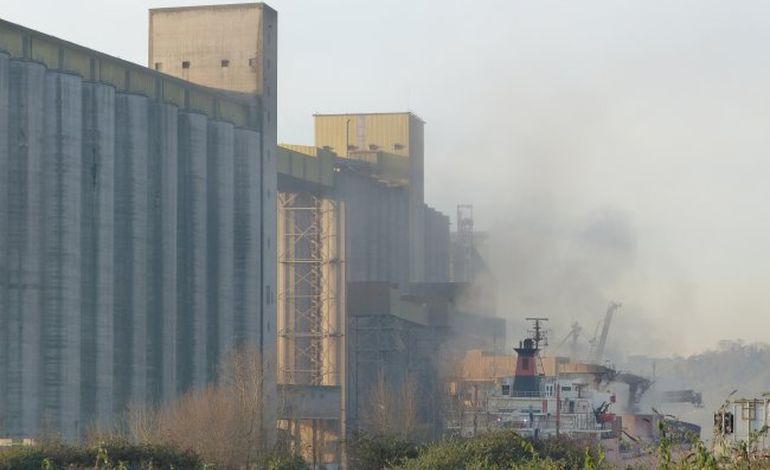 Rouen : une idée pour redécorer les silos céréaliers du port ?