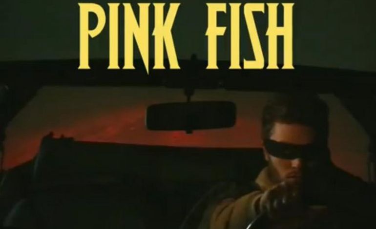 Pink Fish dévoile le clip de Black Case