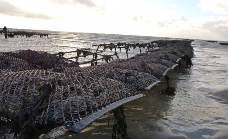 Interdiction de pêche dans la Manche : les entreprises porteront plainte