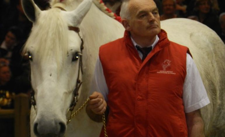SIA 2013 : L'élevage de chevaux normands à l'honneur au Salon... 