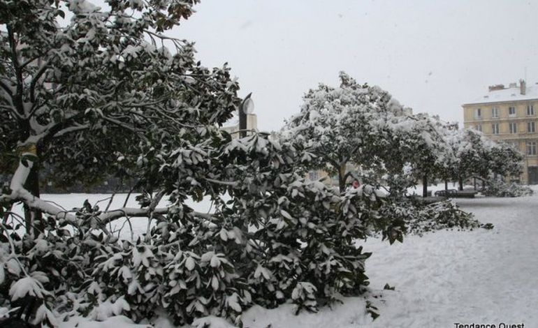 Les arbres de la place du théâtre de Caen brisés par la neige
