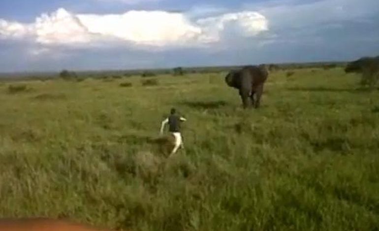 Vidéo : homme vs éléphant un duel au sommet