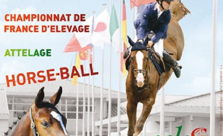 Le Normandie Horse Show se poursuit à Saint-Lô