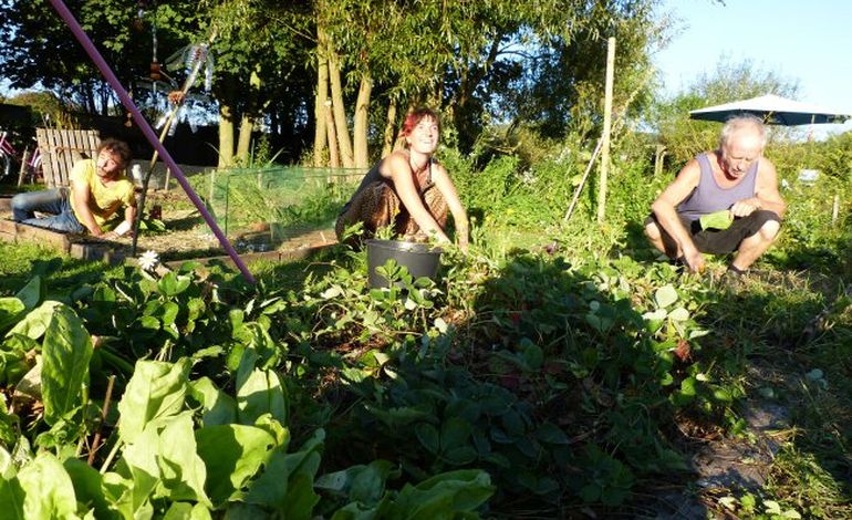 Envie de jardiner ? : Repainville vous propose ses espaces