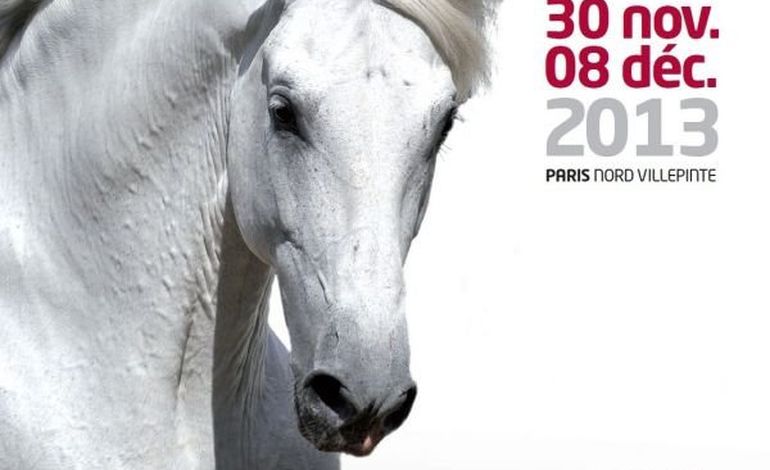 Le Salon du Cheval, un avant-goût des Jeux Equestres Mondiaux en Normandie