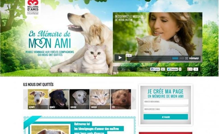 Toussaint : un site dédié à la mémoire des animaux domestiques disparus