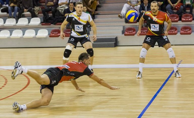 Volley : les Loups veulent oublier Tourcoing
