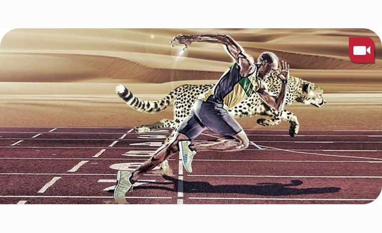 Usain Bolt défié par un guépard sur 100 mètres !