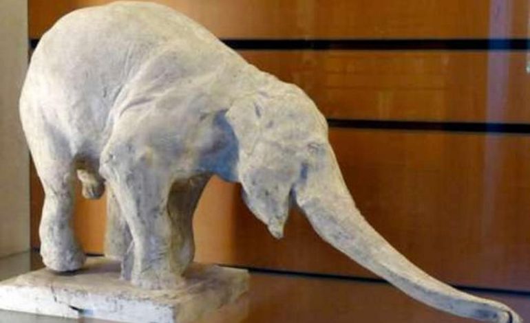 Deauville : 840 000 euros pour un éléphant