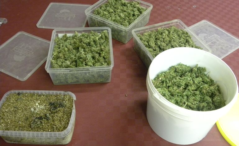 Arrêté avec 420 g de cannabis dans le Paris-Granville