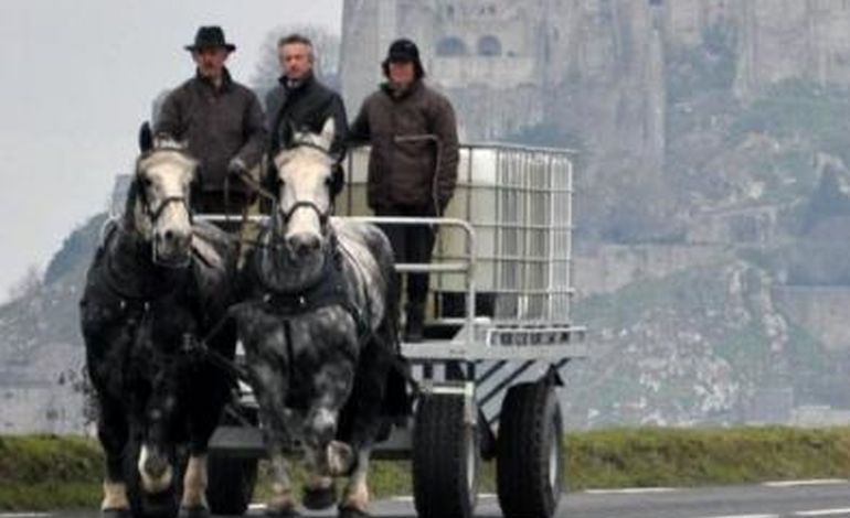 Maringottes cherchent chevaux au Mont Saint Michel
