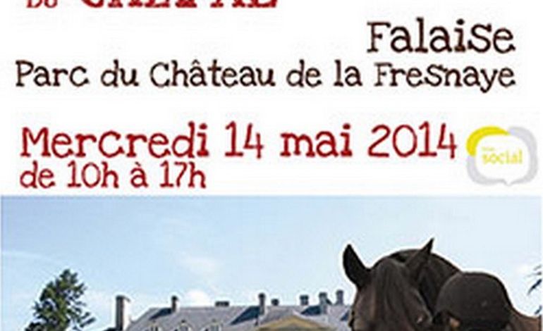 Forum des métiers du cheval à Falaise