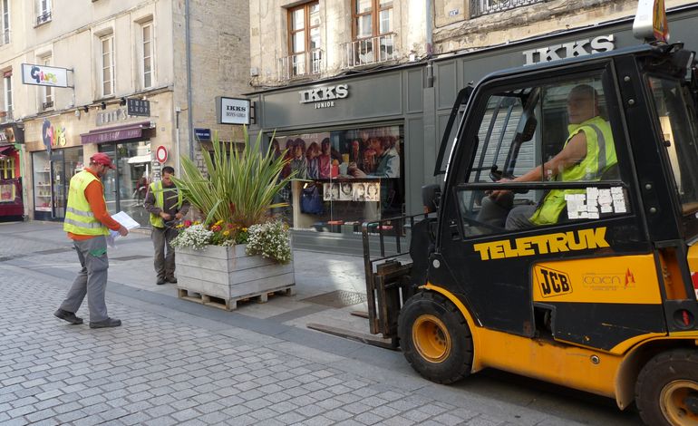 Caen : en centre-ville, plantes et fleurs pour dynamiser le commerce