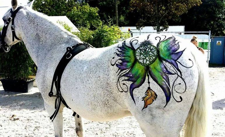Après le body-painting, le horse-painting à Caen