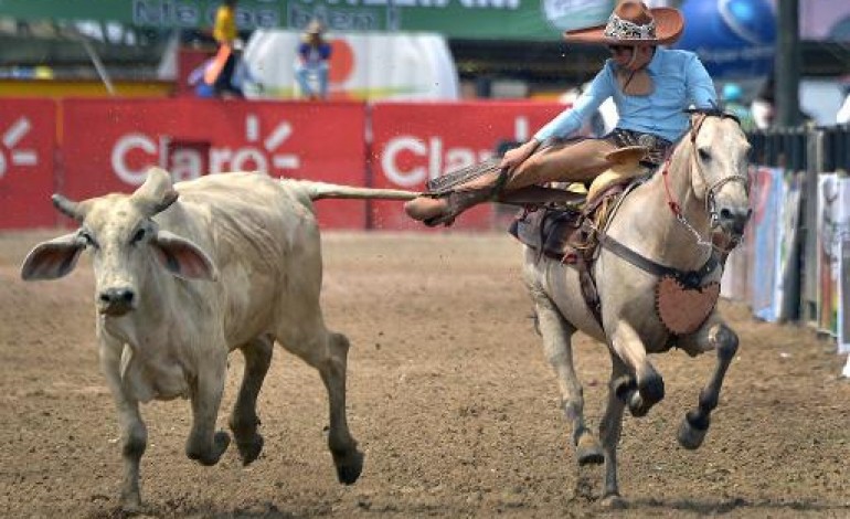 Villavicencio (Colombie) (AFP). Colombie: le Mondial de coleo, où l'art de faire chuter le taureau