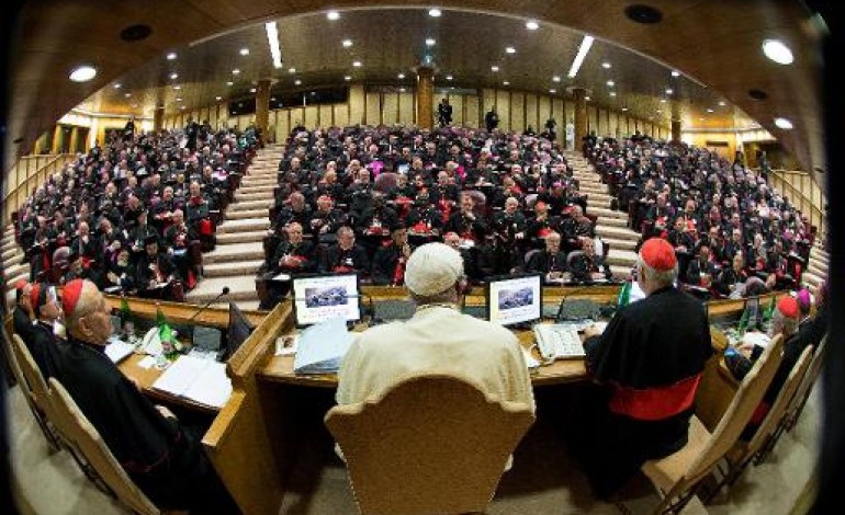 Cité du Vatican (AFP). Synode sur la famille: pas de retour en arrière en dépit de blocages 