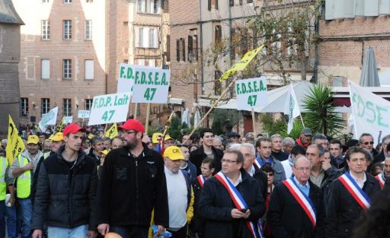 Albi (France) (AFP). Sivens: manifestations pro-barrage et anti-zadistes à Albi