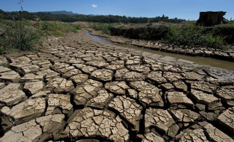 Piracaia (Brésil) (AFP). La sécheresse de Sao Paulo sonne l'alarme pour la planète