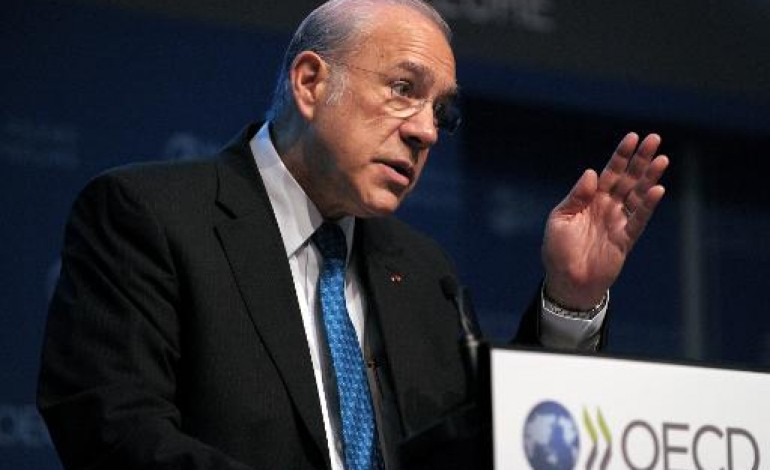 Paris (AFP). L'OCDE recommande un peu plus de souplesse budgétaire en zone euro