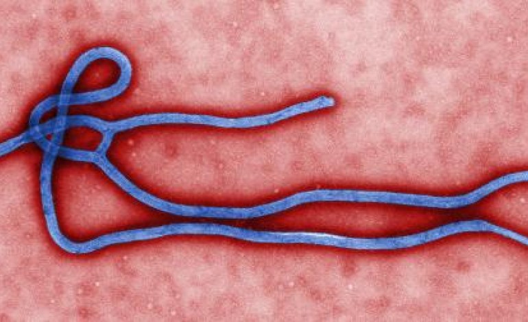 Washington (AFP). Ebola: un premier vaccin prometteur selon les résultats préliminaires d'un essai