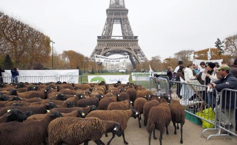 Paris (AFP). Au pied de la Tour Eiffel, les éleveurs ouvrent la chasse au loup