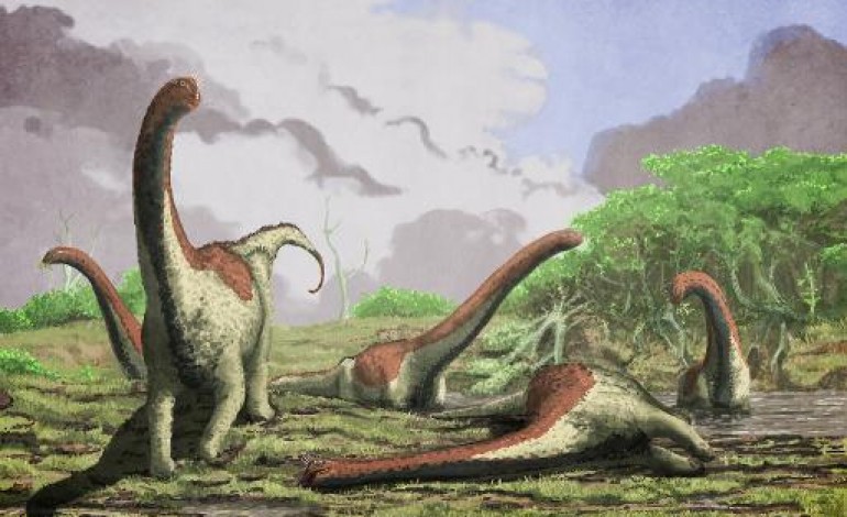 Washington (AFP). Le plus ancien dinosaure à corne des Etats-Unis avait la taille d'un corbeau