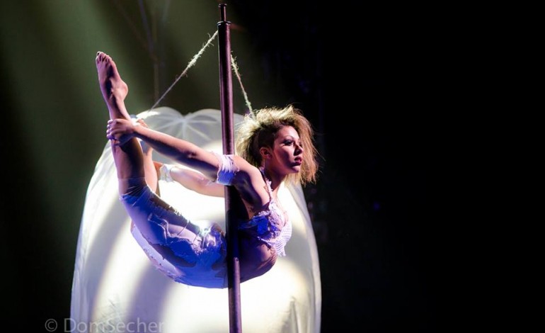 Festival international du cirque de Bayeux : déjà plus de 10 000 places vendues !