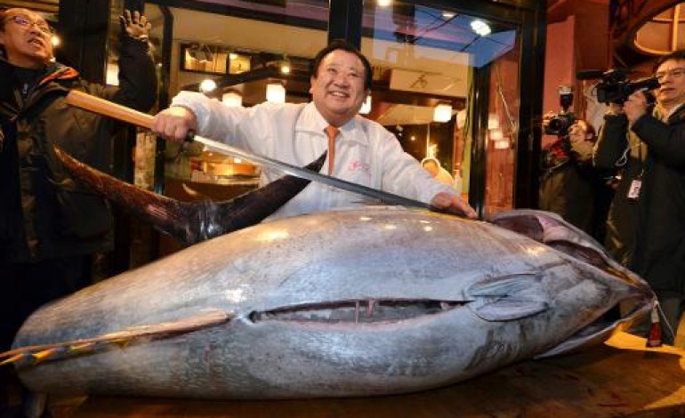 Tokyo (AFP). Japon: le prix du thon rouge devient presque trop bon marché à la 1ère criée de l'année