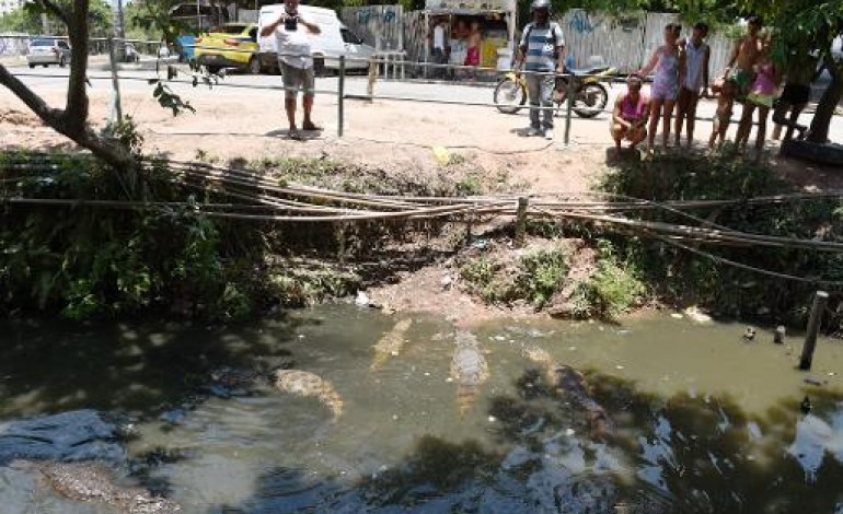 Rio de Janeiro (AFP). Les habitants d'une favela de Rio défient les caïmans pour l'eau potable