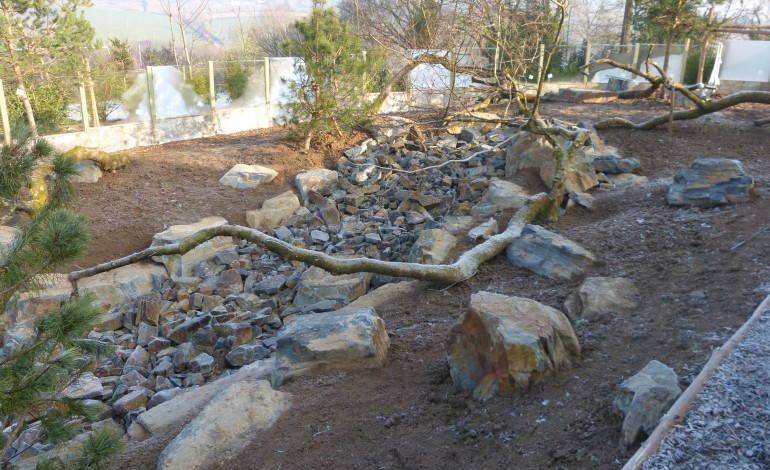 Des aménagements au zoo de Champrépus avant d’accueillir des pandas roux.