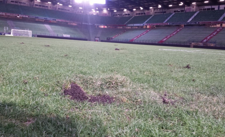 Fin des "escalopes" prévue en mai pour la pelouse du Stade Malherbe