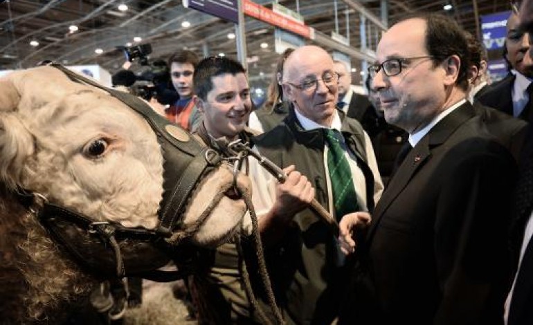 Paris (AFP). François Hollande au salon de l'Agriculture sous haute sécurité
