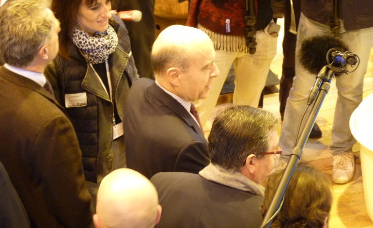SIA 2015 : Alain Juppé passe à deux pas des vaches normandes