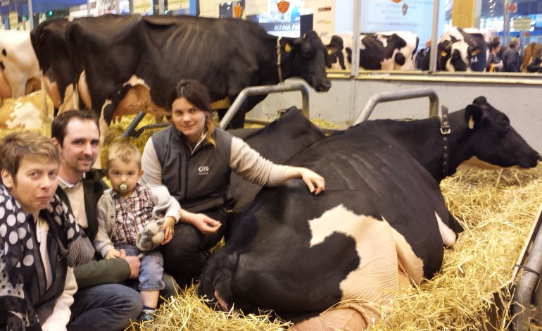 Vaches prim'holstein : la grande championne 2015 est normande !