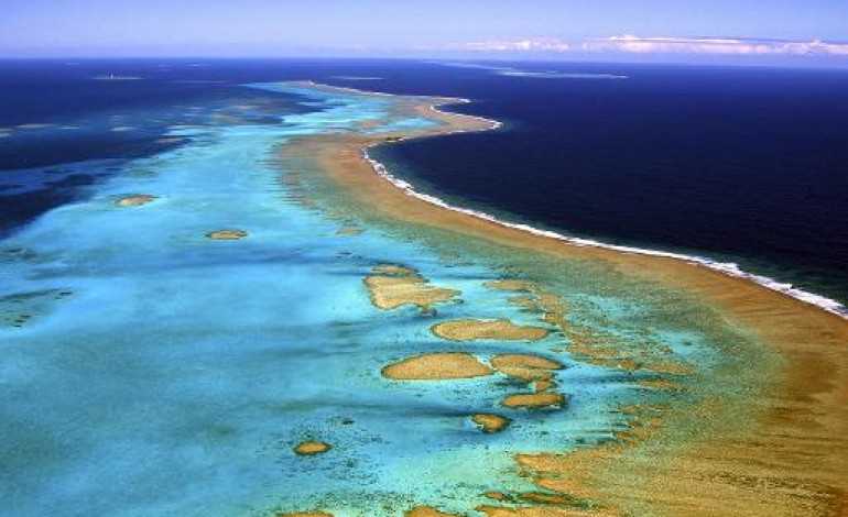 Nouméa (AFP). En Nouvelle-Calédonie, la bonne santé des récifs coralliens