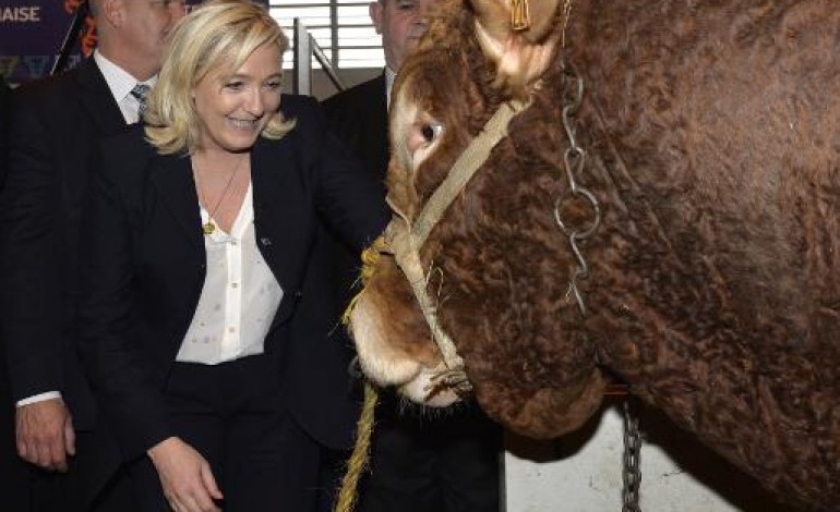 Paris (AFP). Départementales: Marine Le Pen mise au salon sur le vote rural