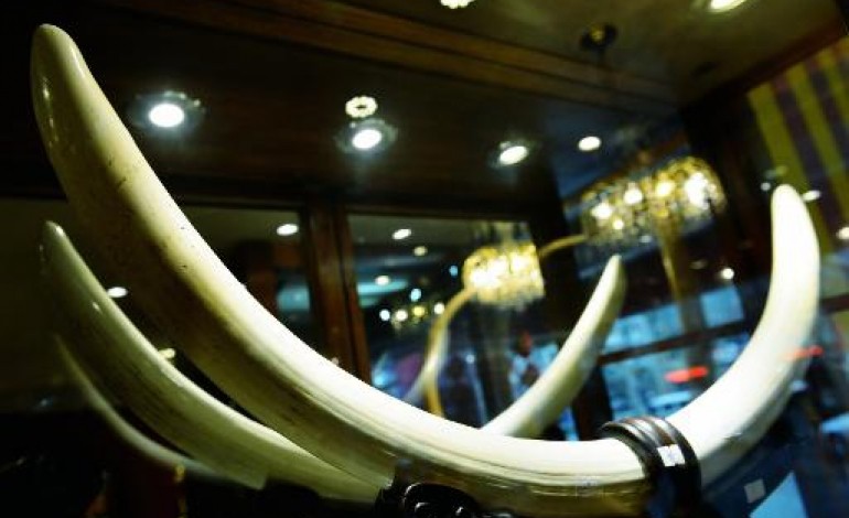 Pékin (AFP). Pointée du doigt, la Chine interdit l'importation d'ivoire sculpté